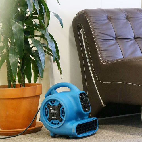 Xpower #P-230AT Mini Air Mover Drying a Wet Carpet Thumbnail